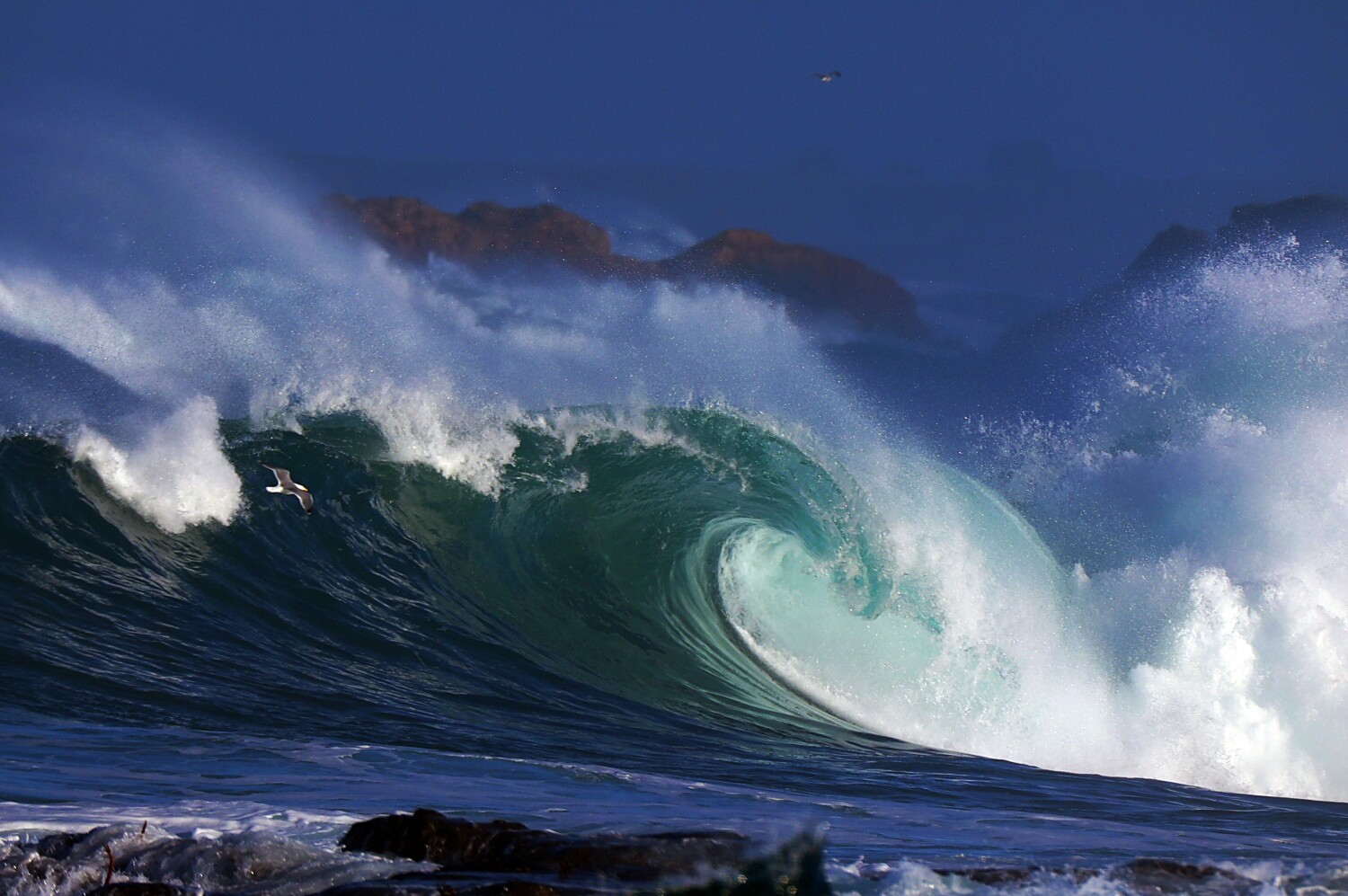 Timing Is Everything