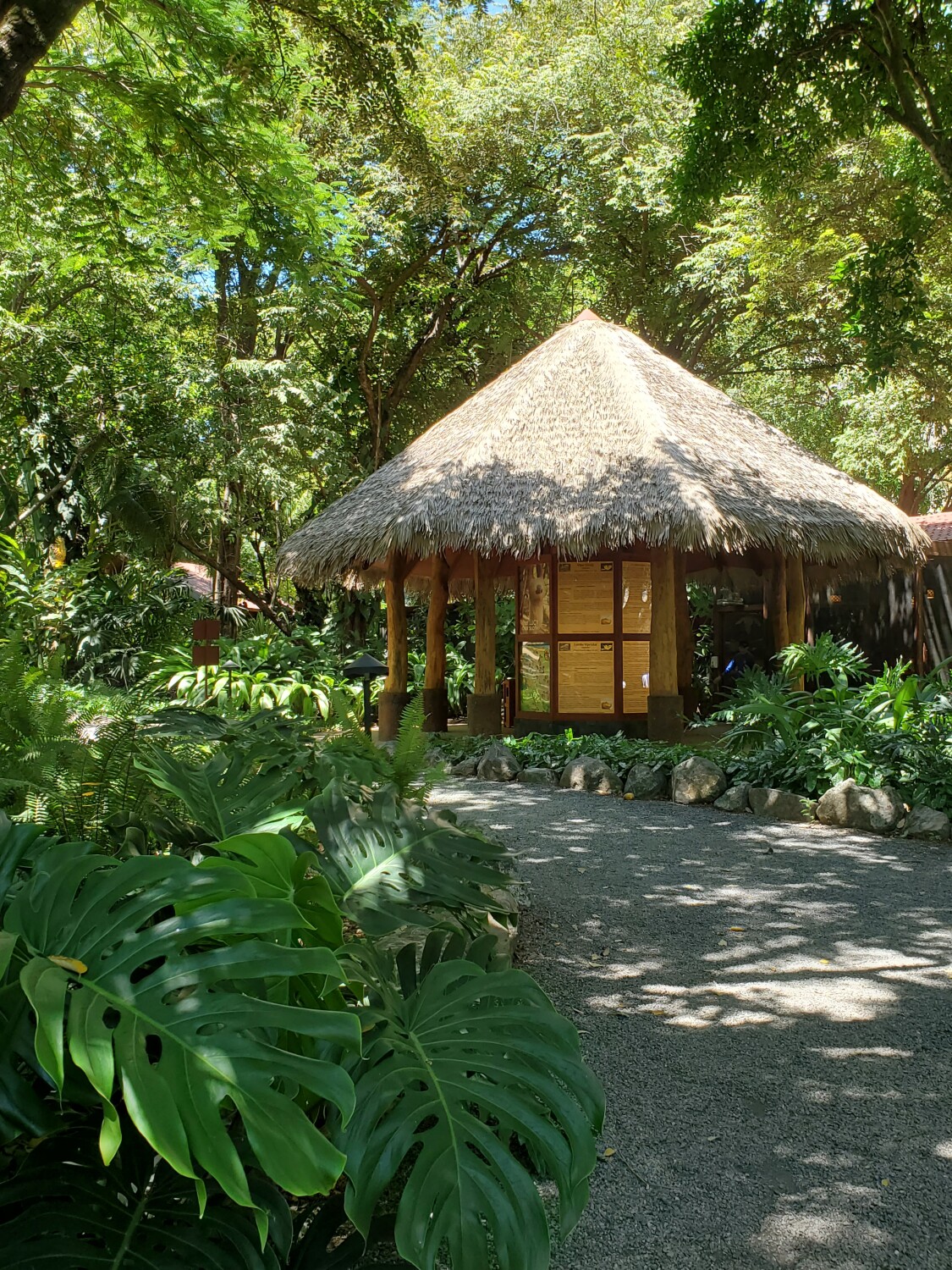 Welcome to the Jungle