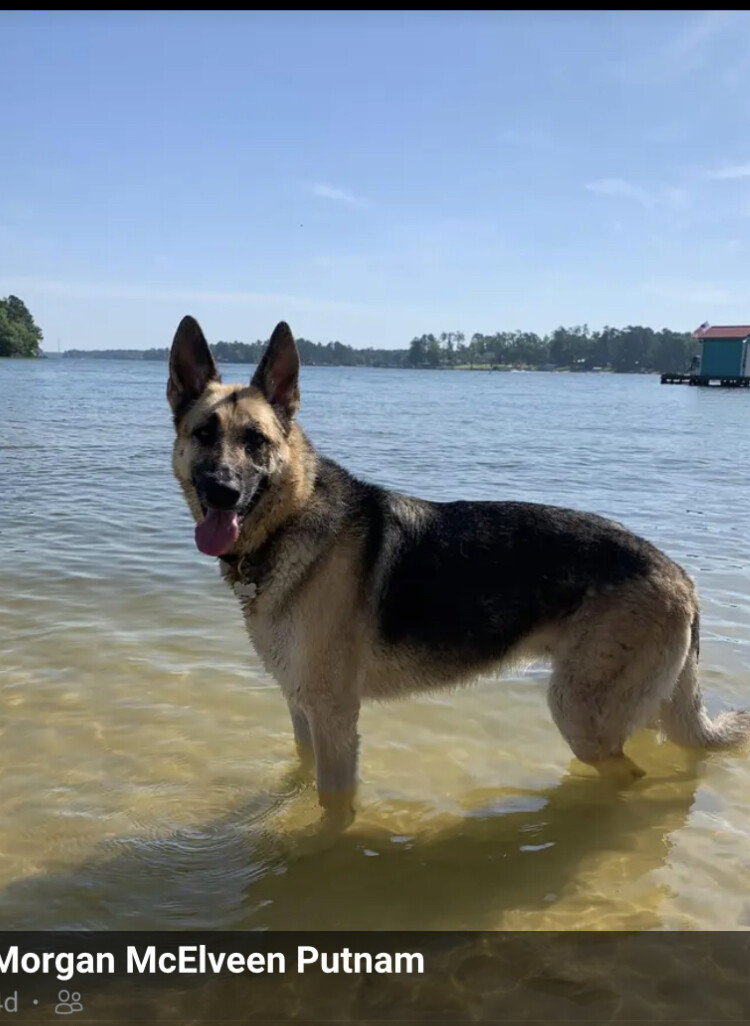 Piper at lake