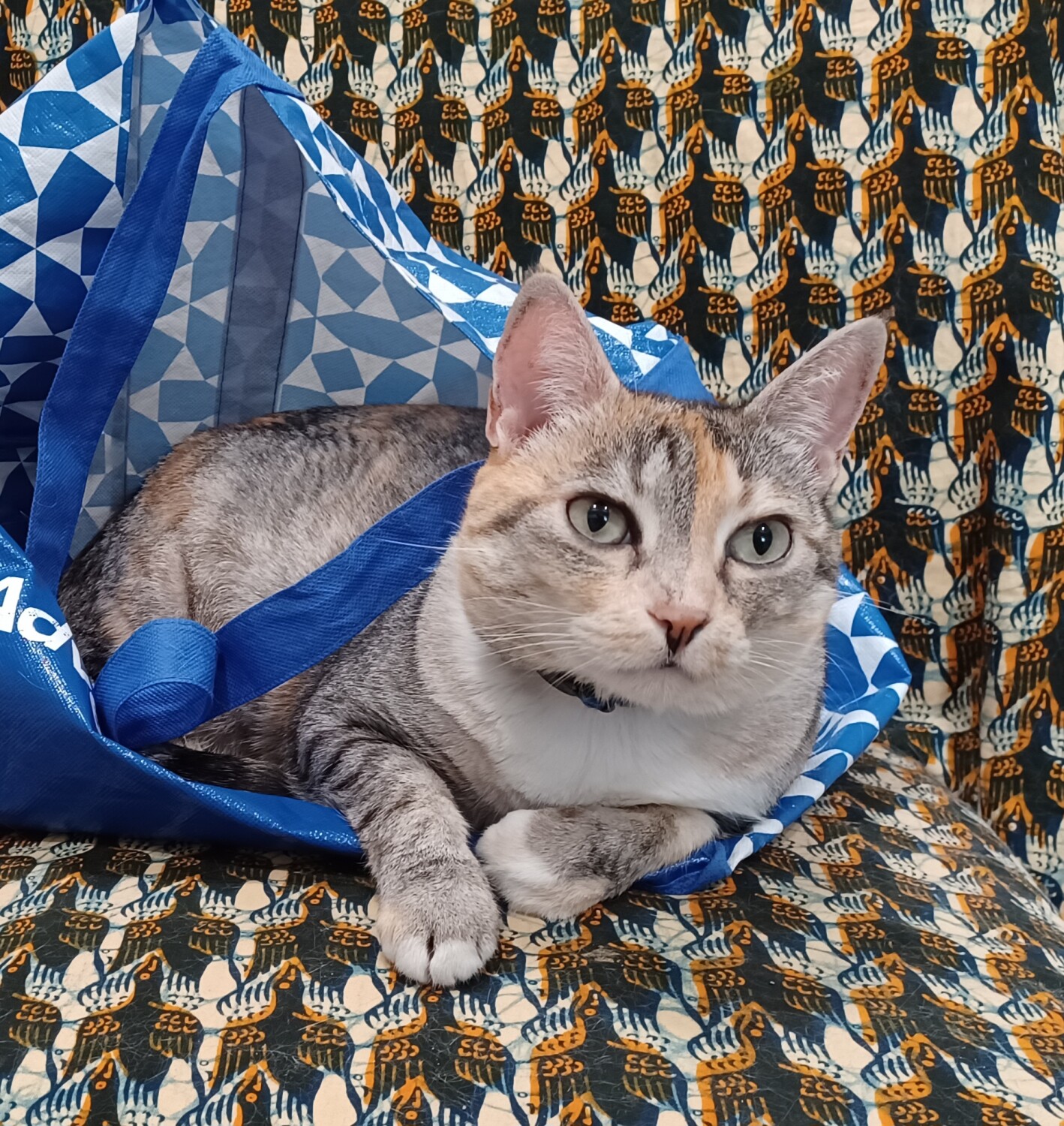 My Bess is the BEST.