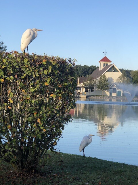 I've Got Your Back - Always