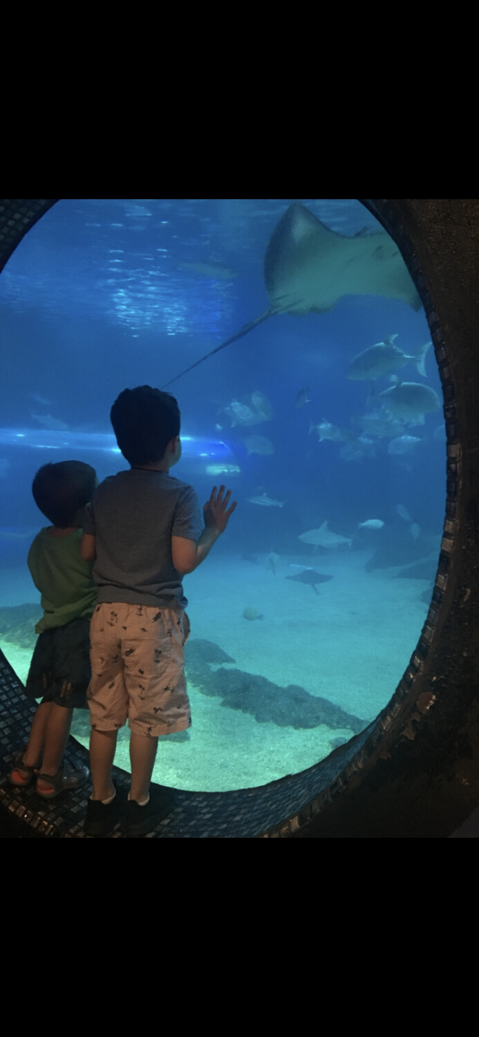 Wonder and amazement