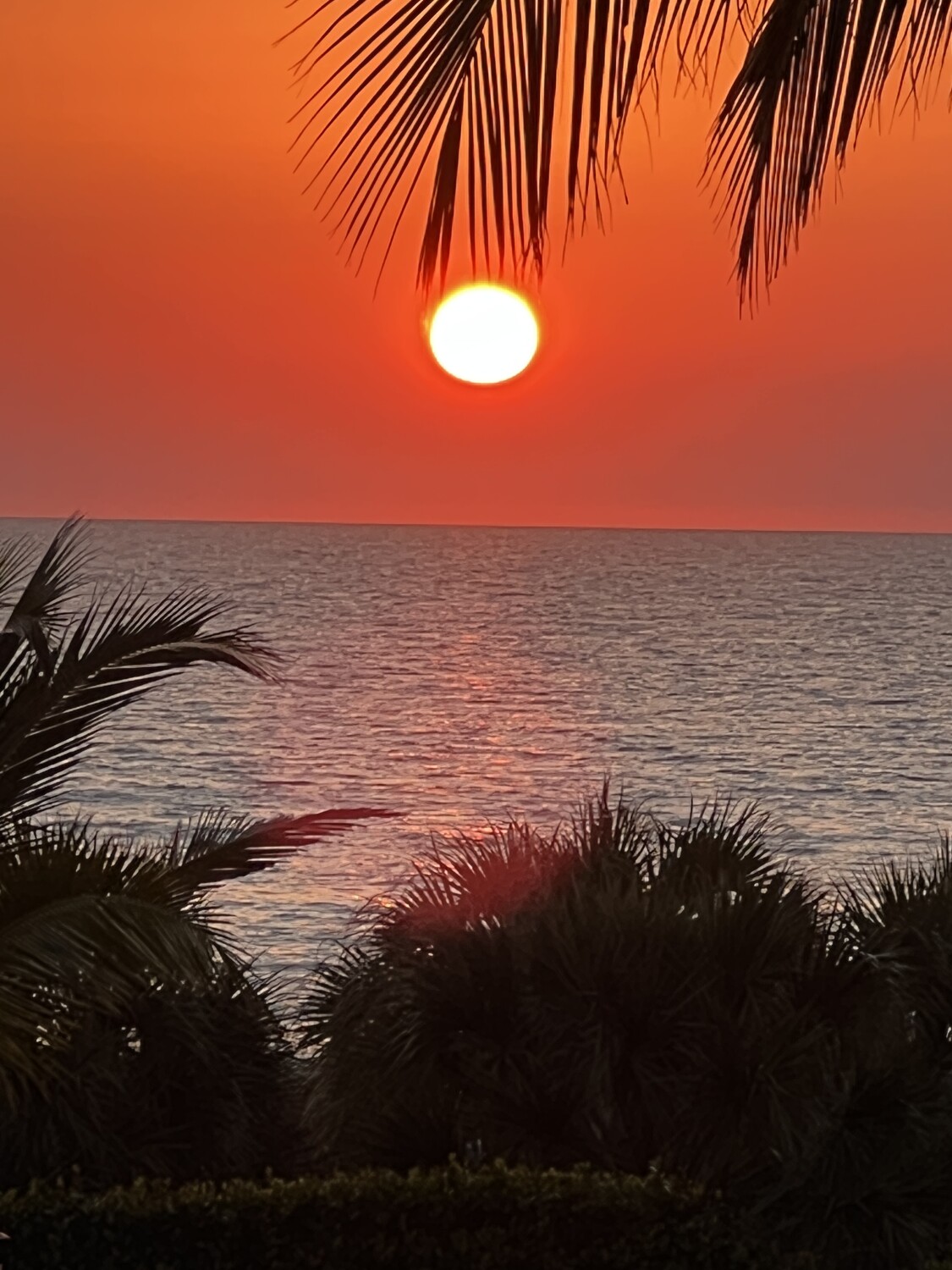 Florida Sunset