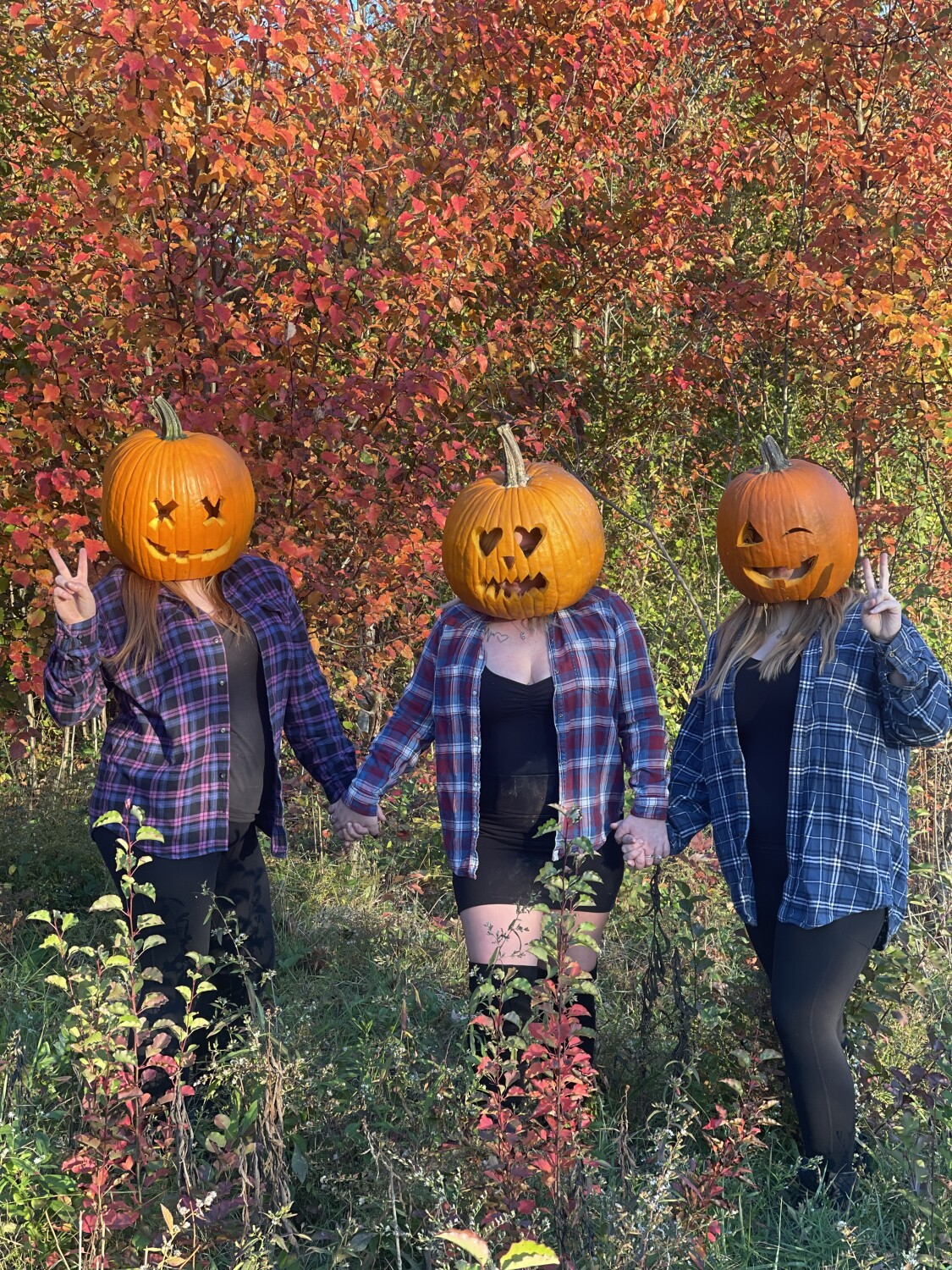 Pumpkin lady’s
