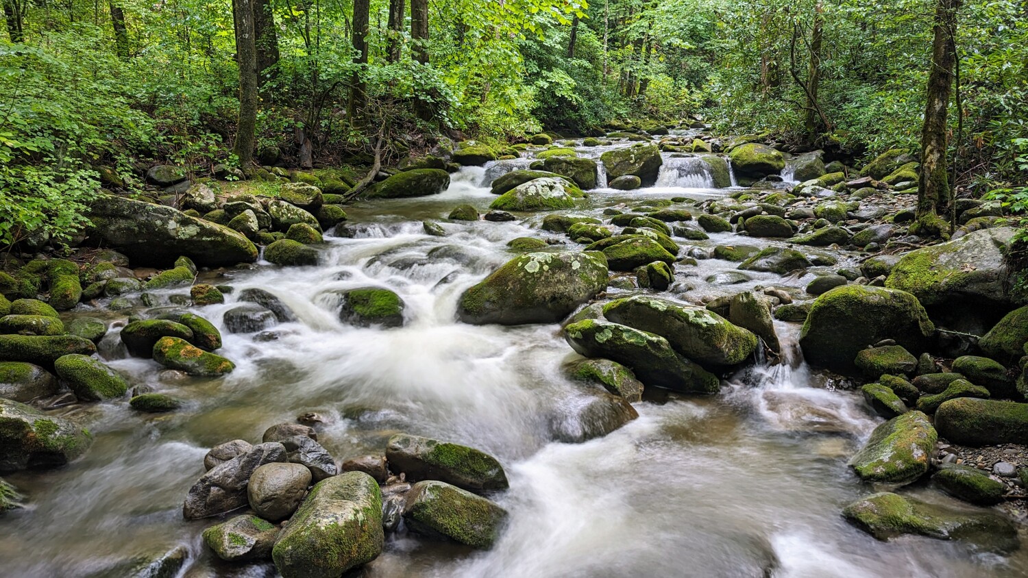 Tranquility in the Smokies