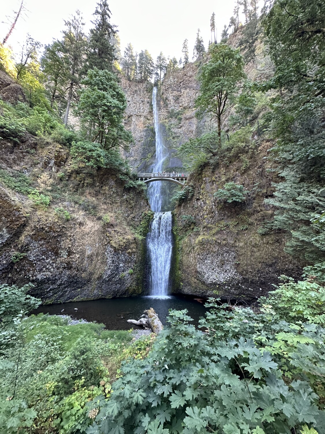 Multnomah Falls