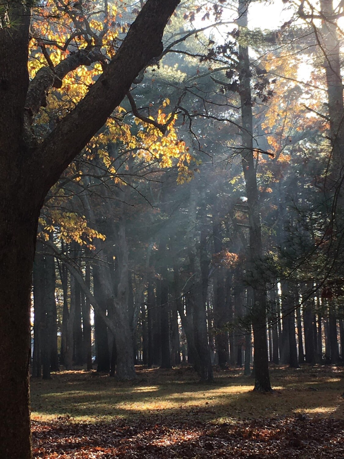 Be still and know that I am God!