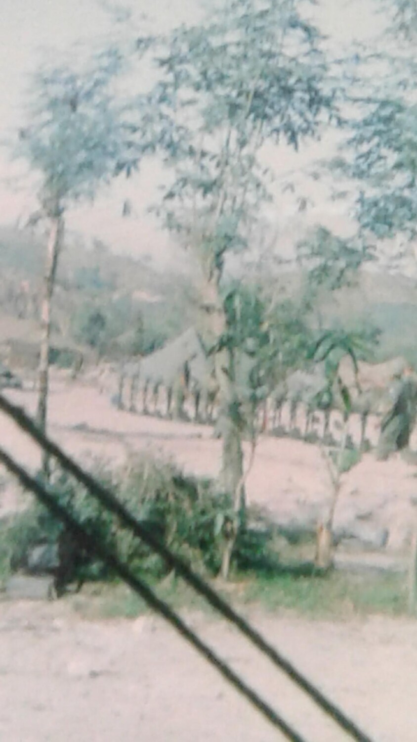 “Cost of Freedom”