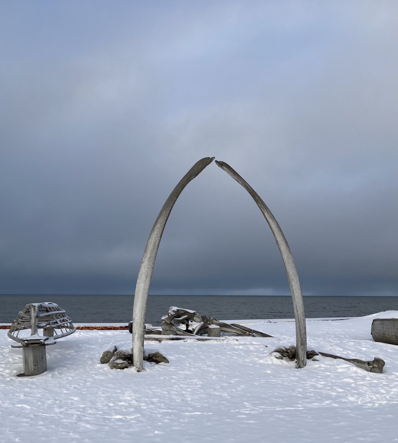 Bowhead Whale bones