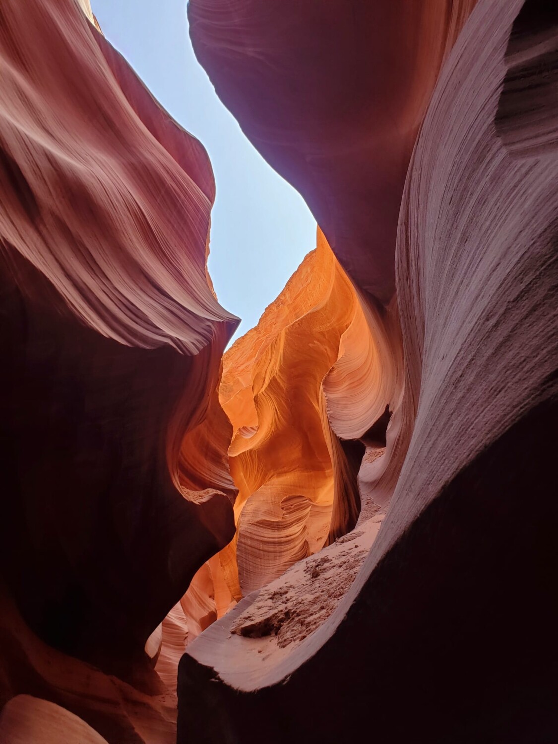 Lower Antelope 2022