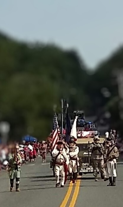 Patriotism On Parade