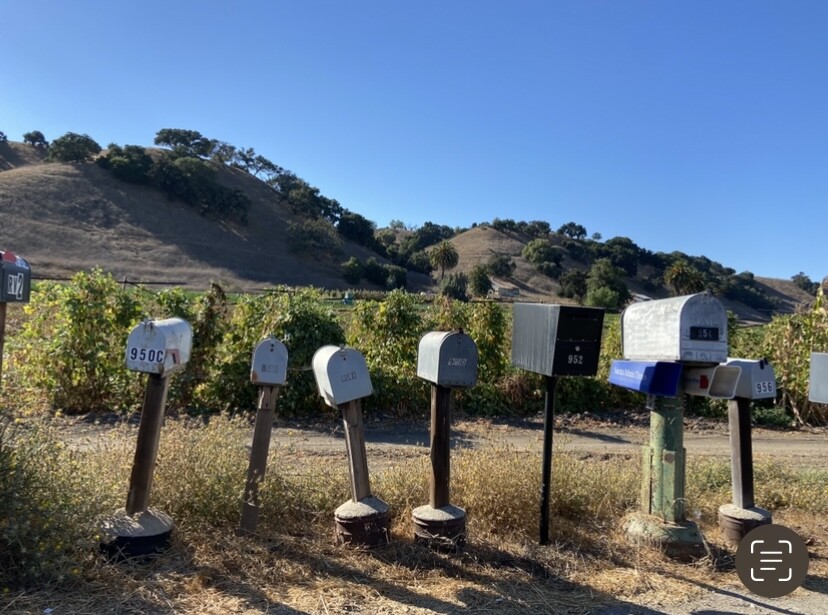 “You’ve got mail”