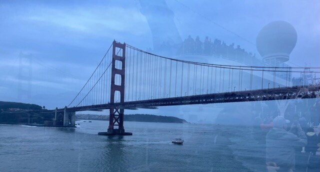 Cruising under the bridge
