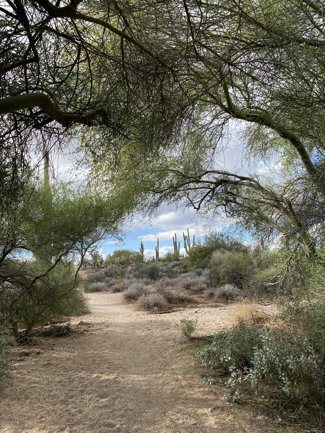 Hike in the desert