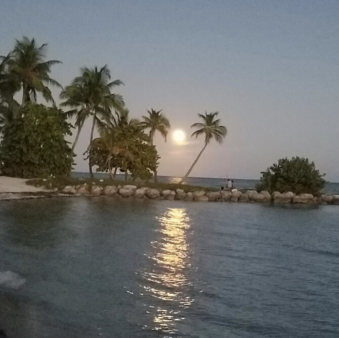 At Peace in Paradise