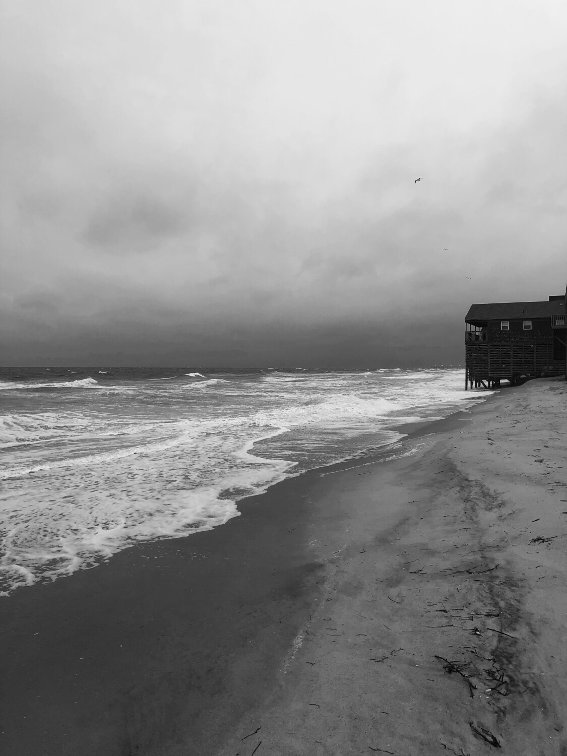 Calm Before the Storm