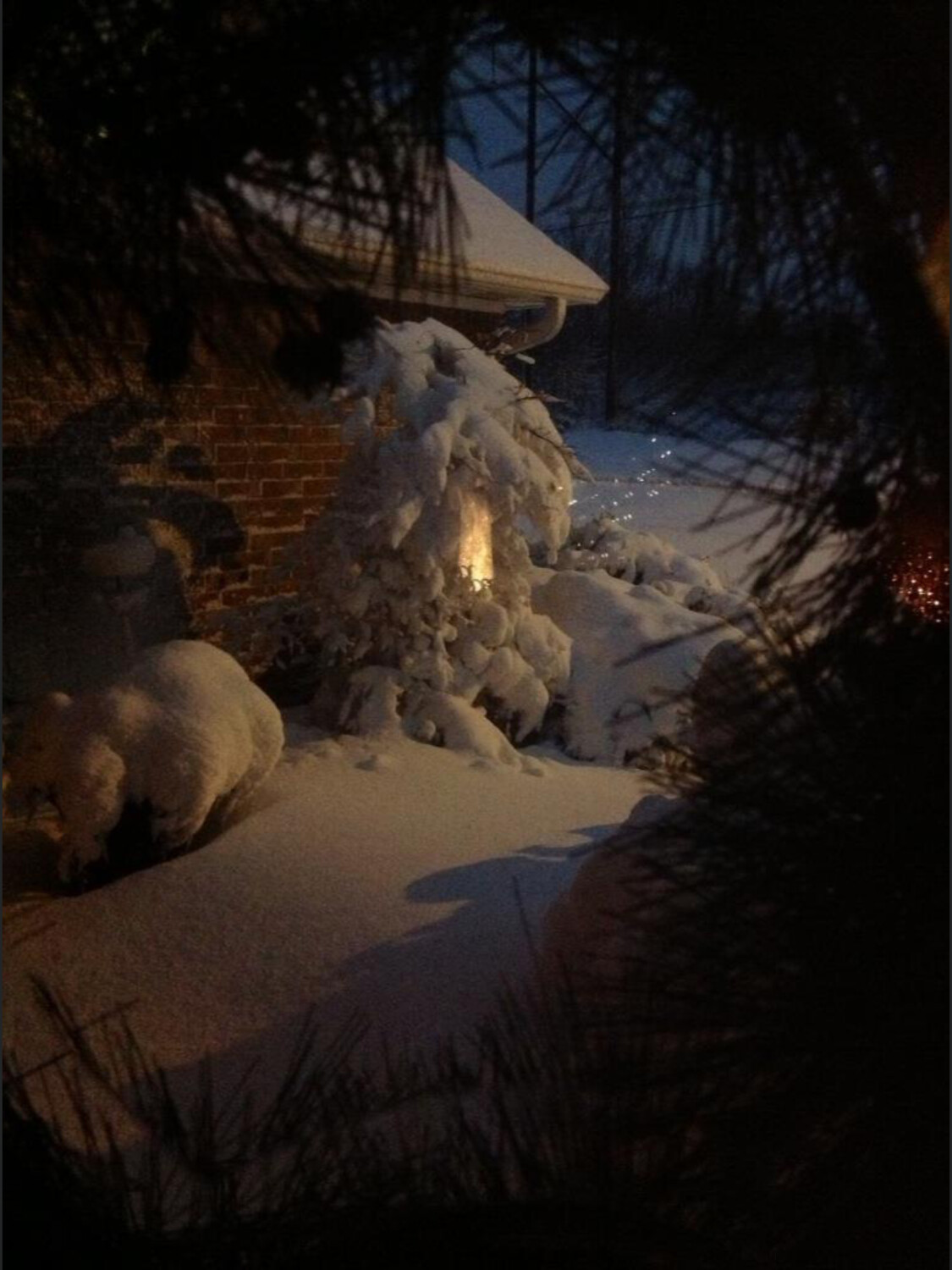 The Mysterious Light