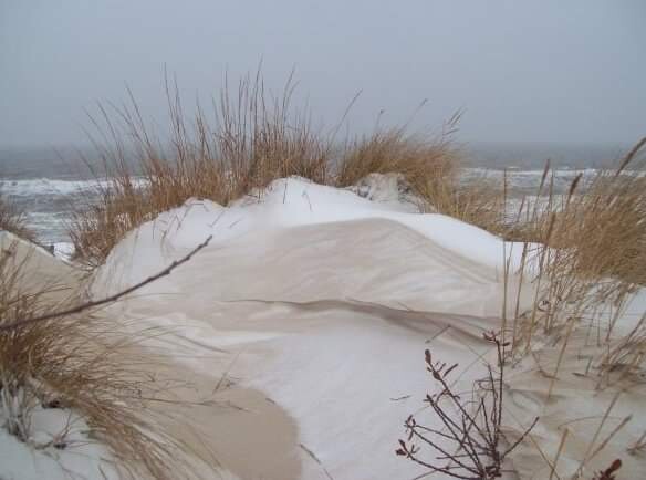Norfolk Dune on a snowy day