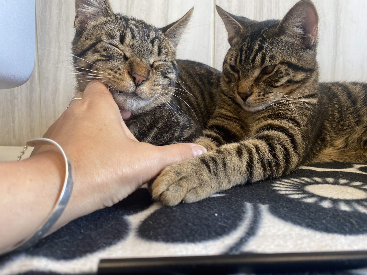 It’s just a matter of love!