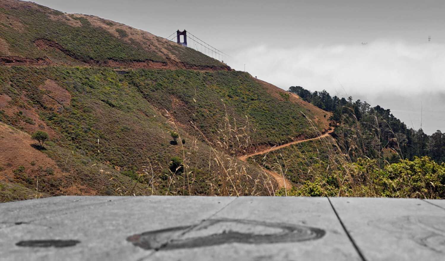 Love in San Francisco