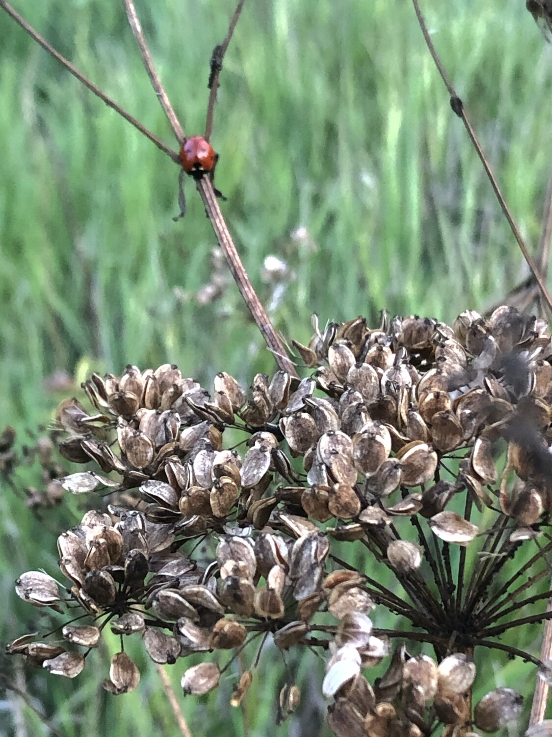 I’m Lucky to find You!!