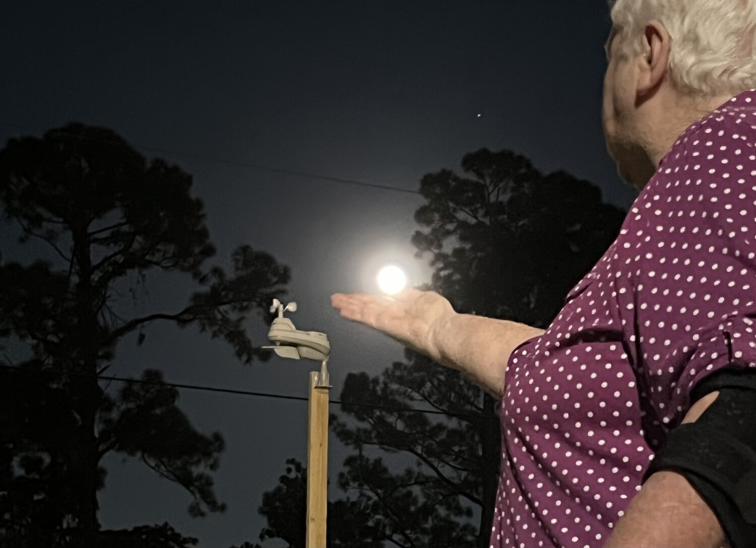 Blue moon in the palm of my hand