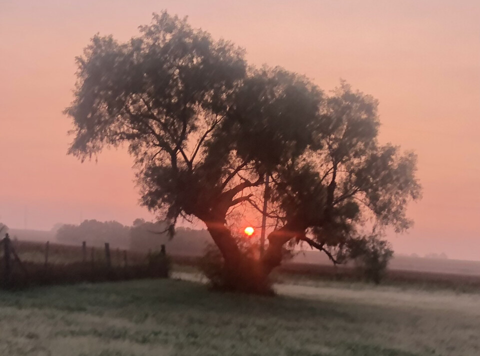 Joy comes in the morning