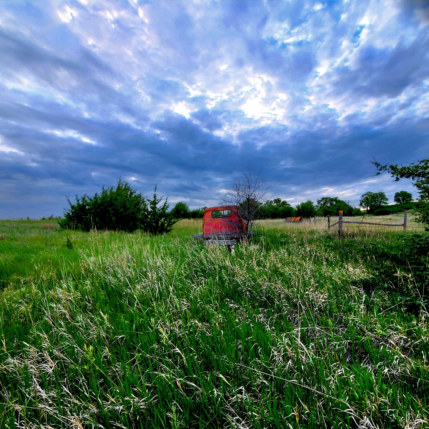 Retired to the pasture