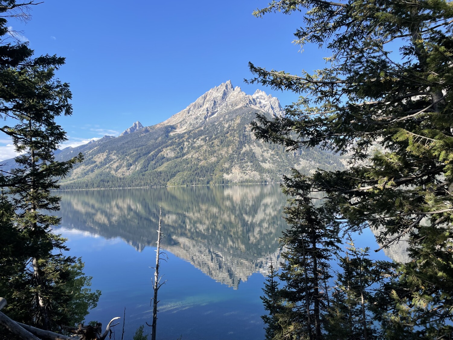 Majestic Grand Tetons