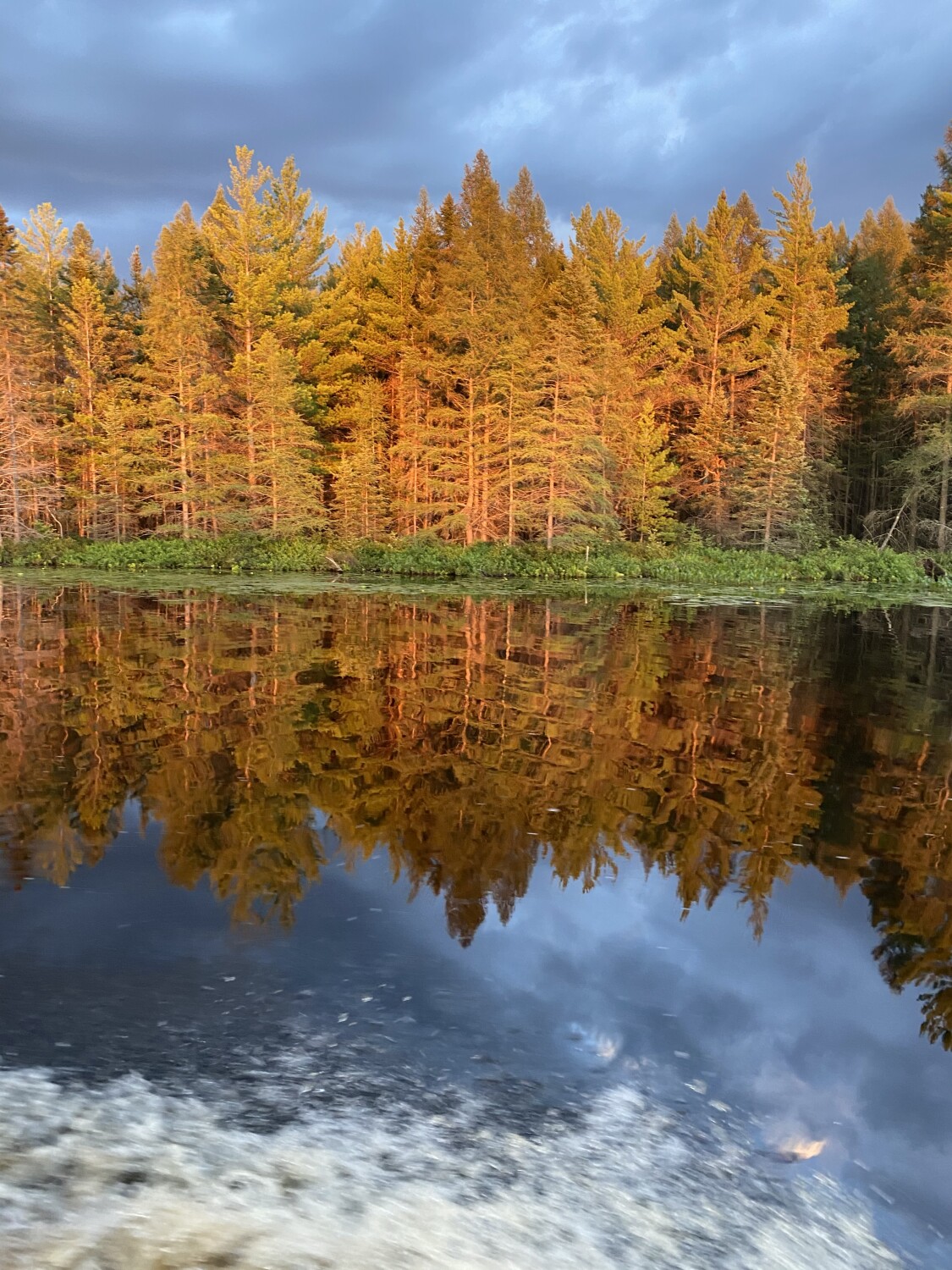 Rhinelander vacation