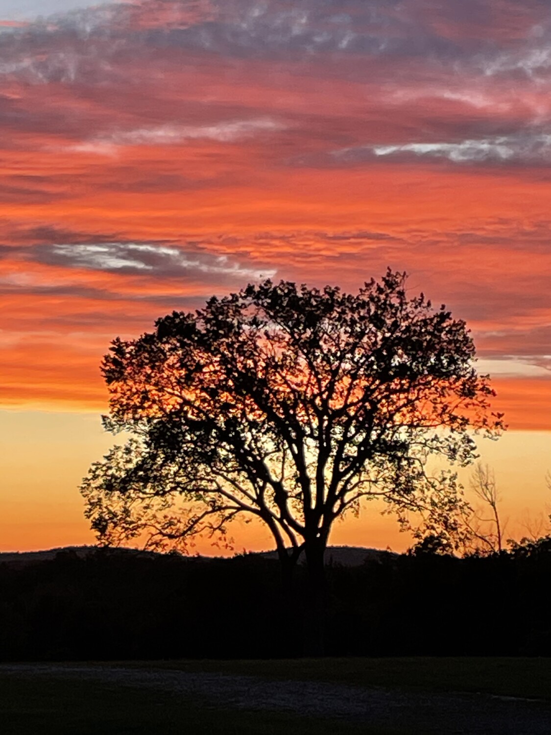 Sunset at the fairgrounds