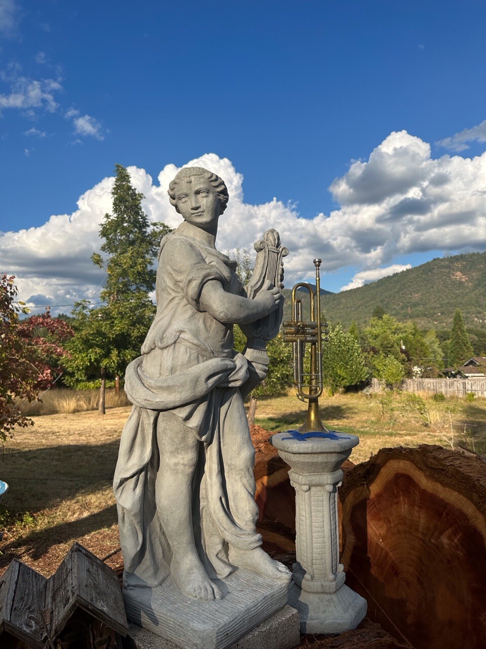 King David with the trumpet of the Lord .