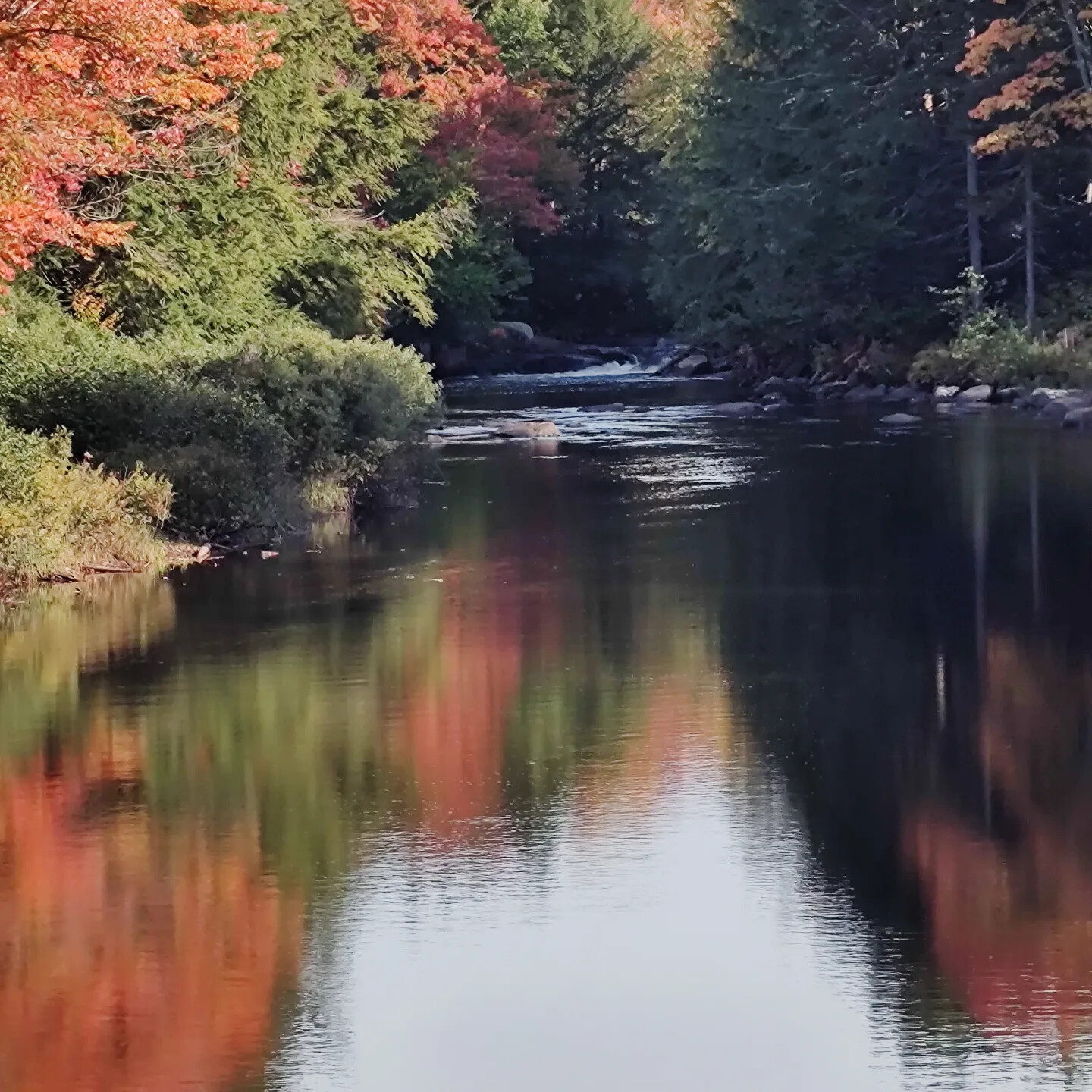 Autumn in upstate NY