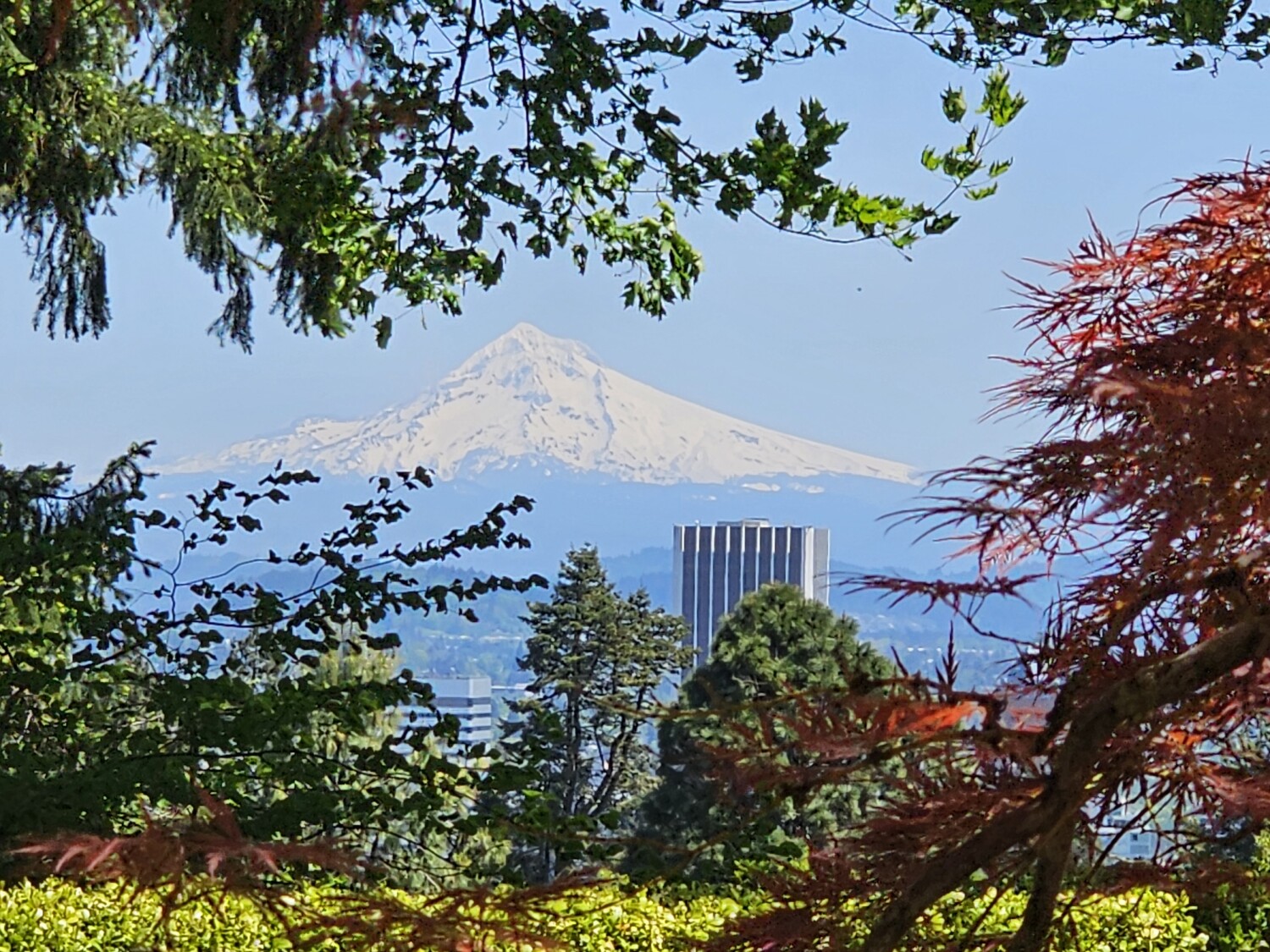 The optimistic angle