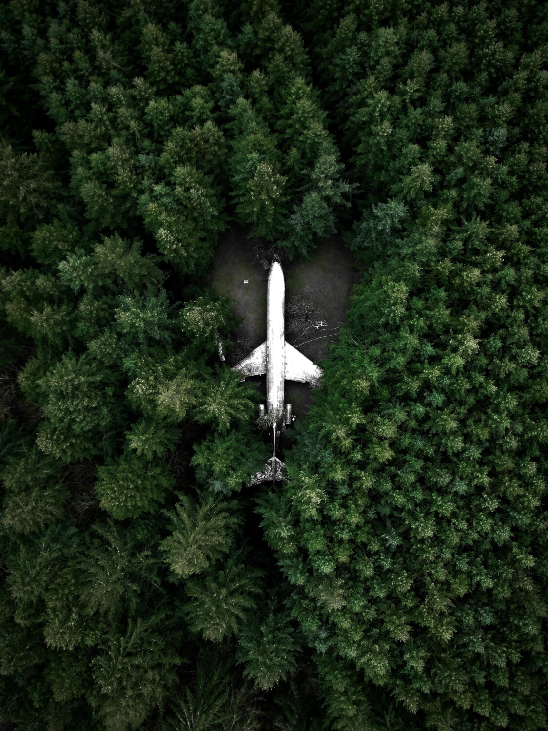 Plane in woods