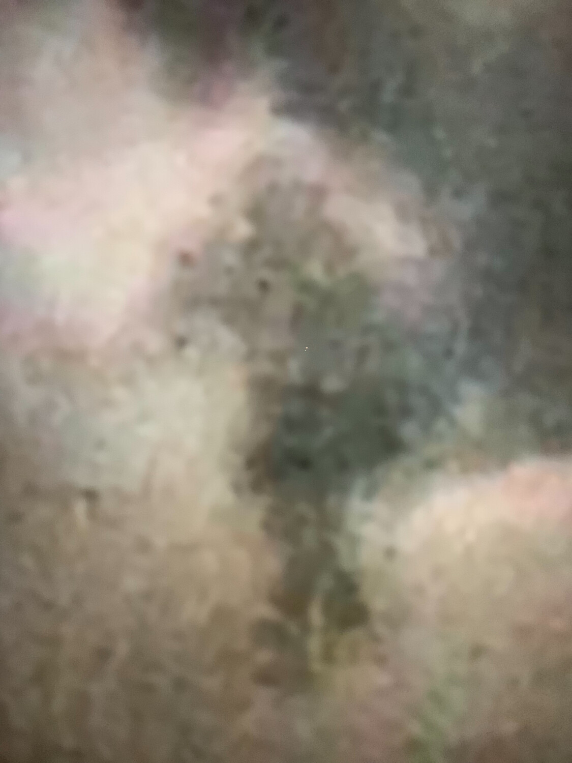 Soldier in the Clouds