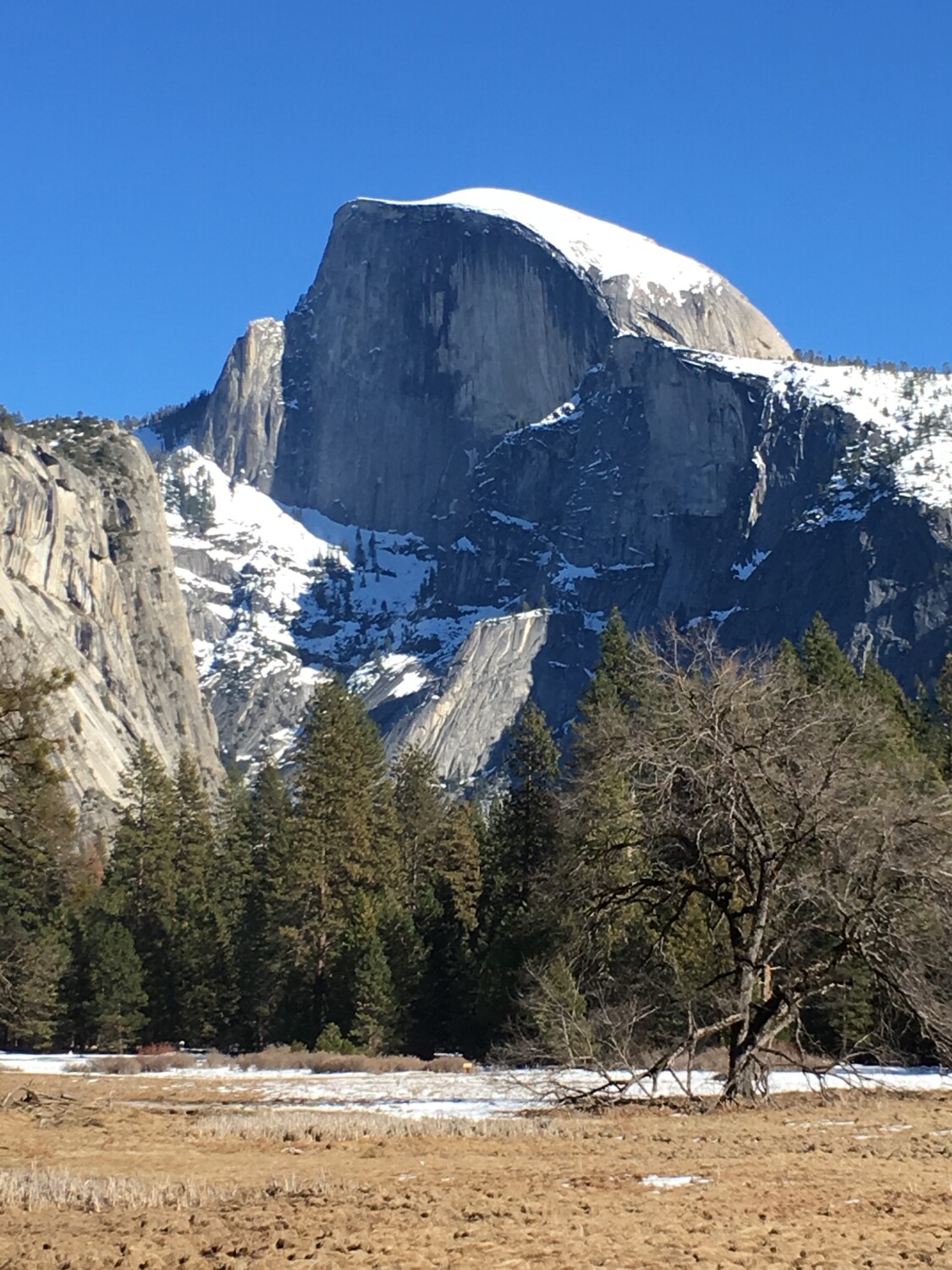 Half Dome