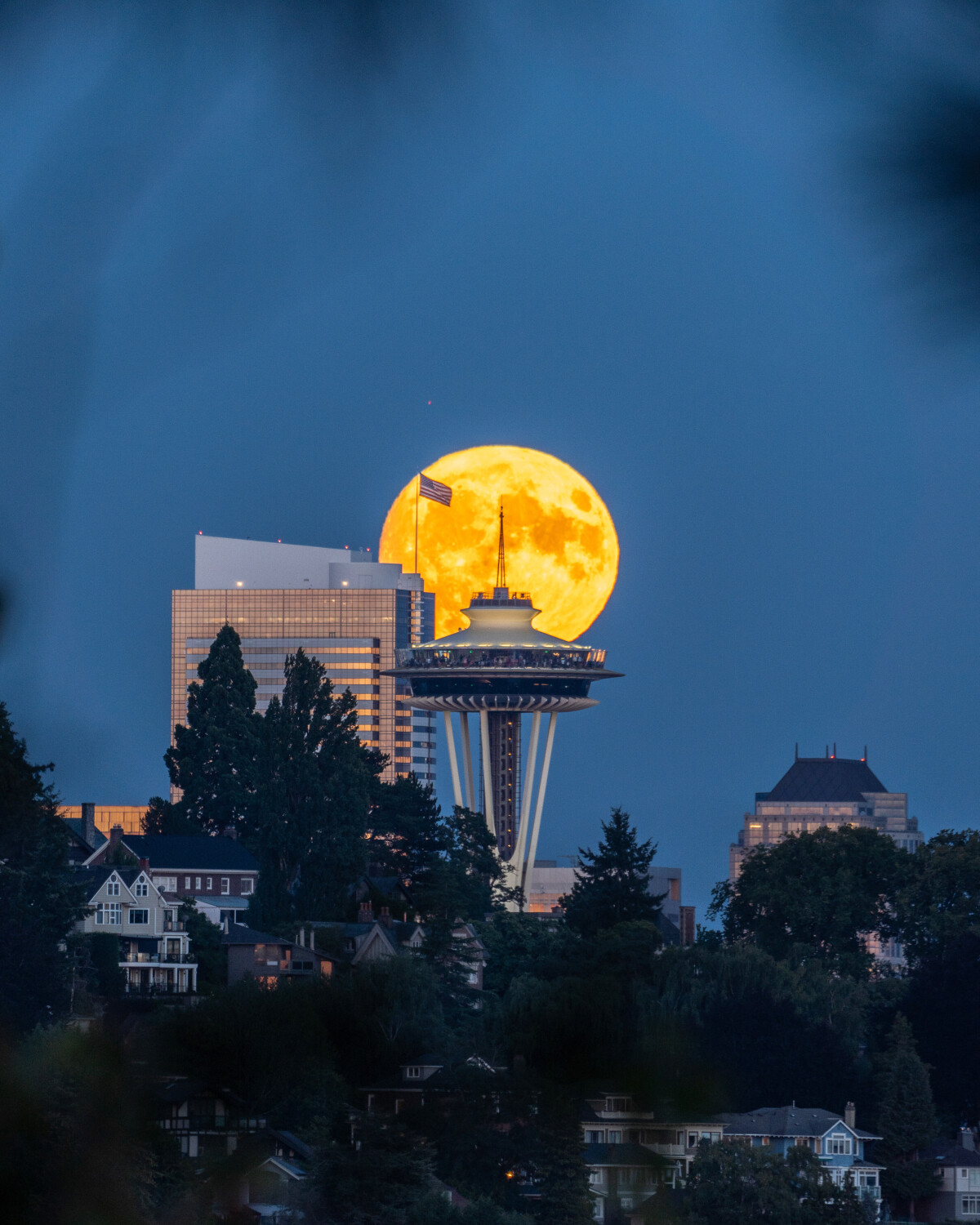 The Needle & the Moon