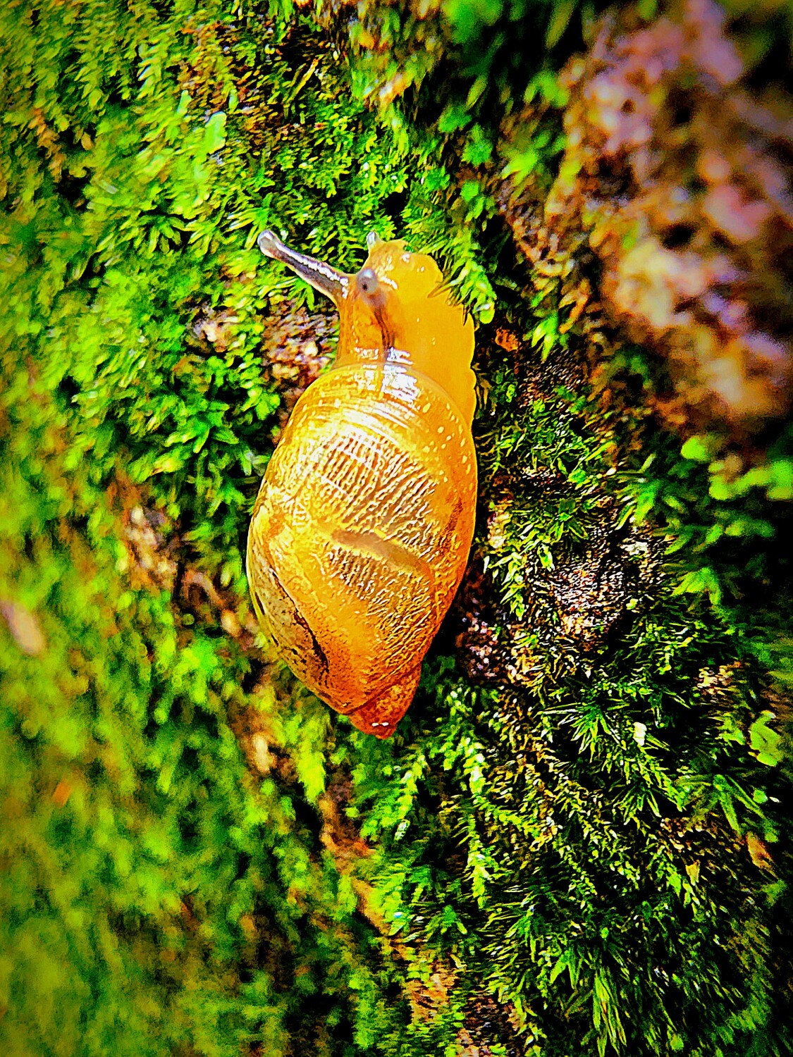 Enjoy the Little Things