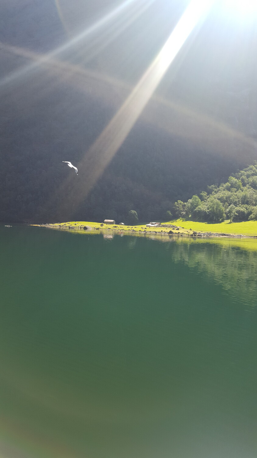 Fjord trip in Norway