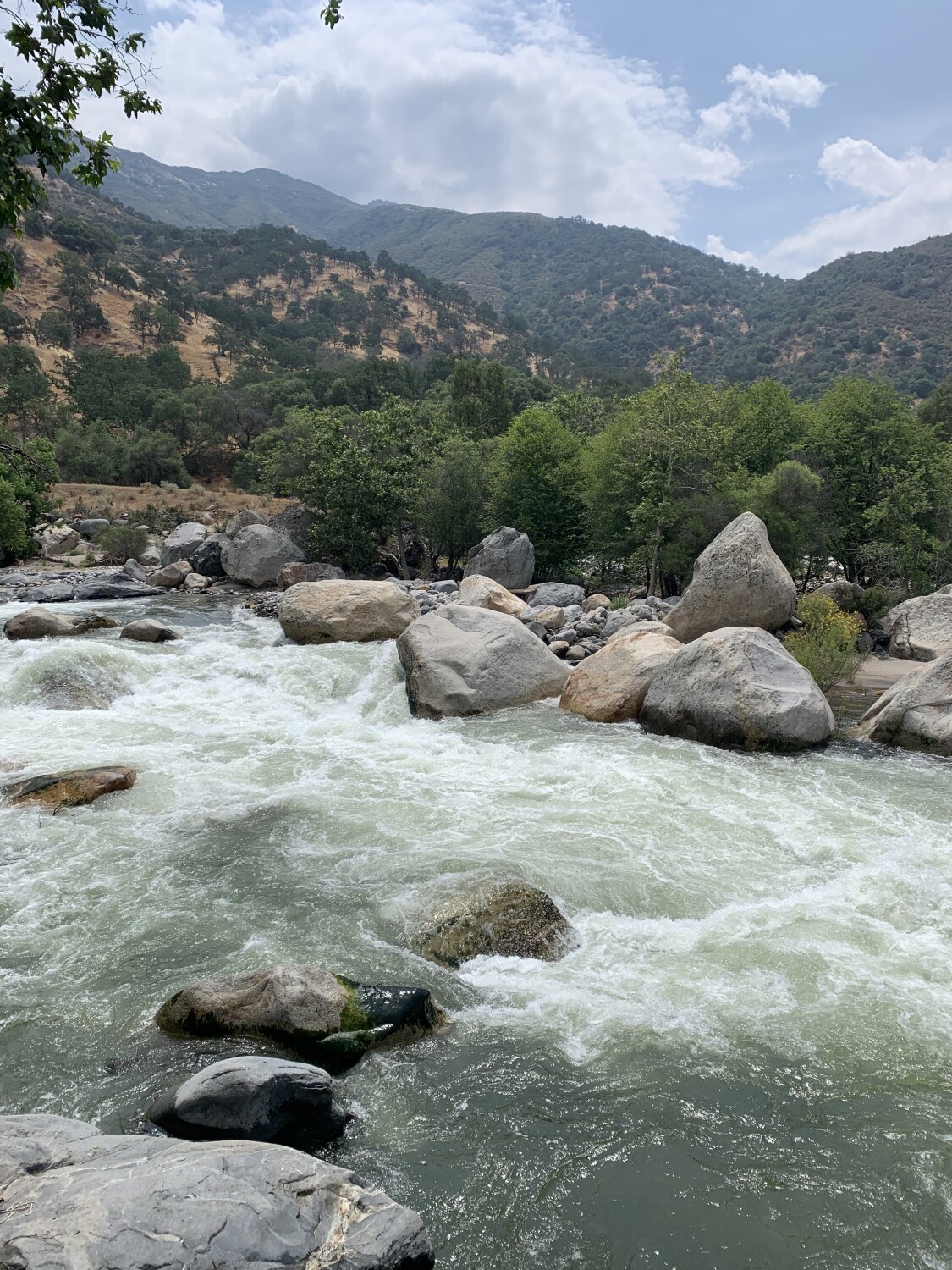 Three Rivers California