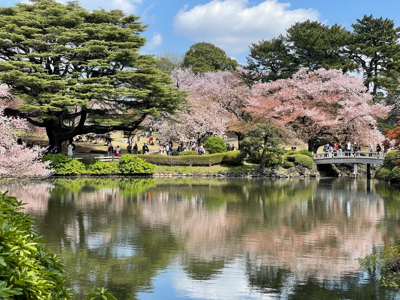 Reflection of Nature