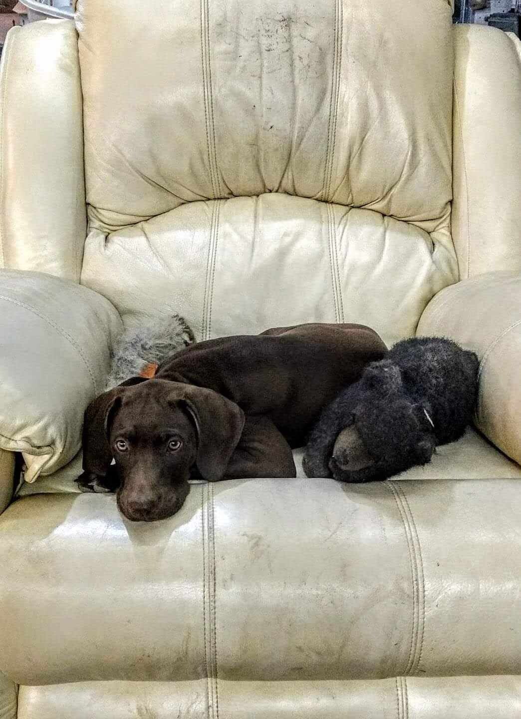 The Duke of Ellingson