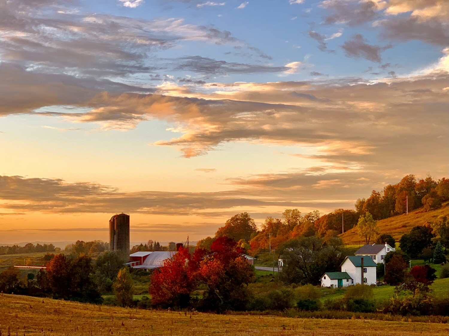 Autumn in the Country