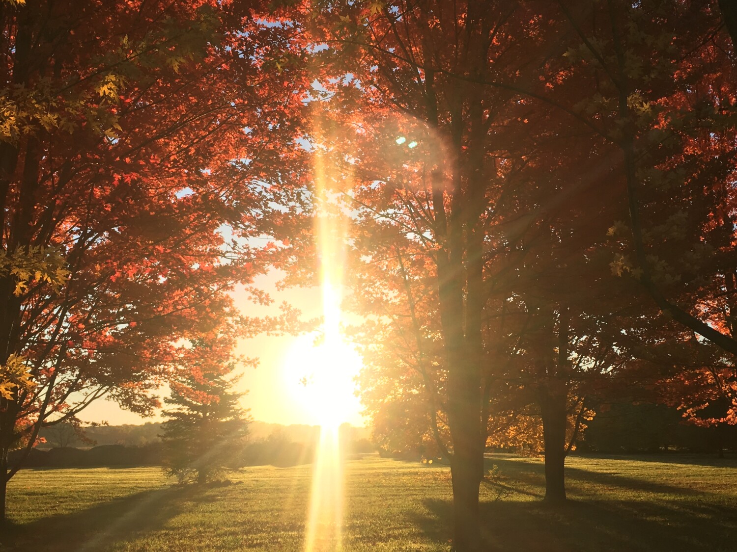 Beautiful sunrise in Nebraska
