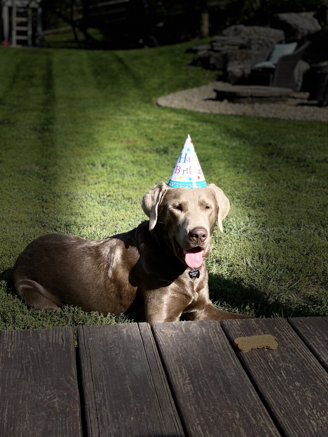 Toby’s 1st Birthday!