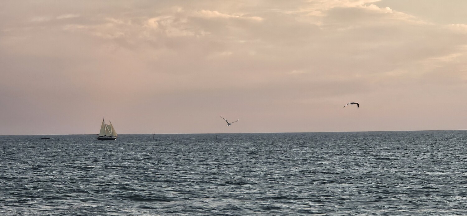 Pirates of clearwater