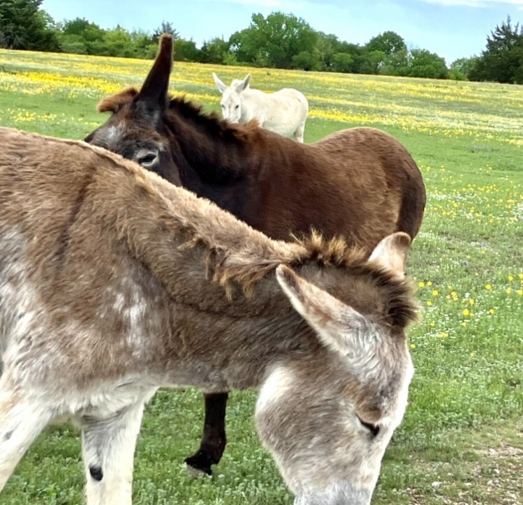 I’ve got an eye on you