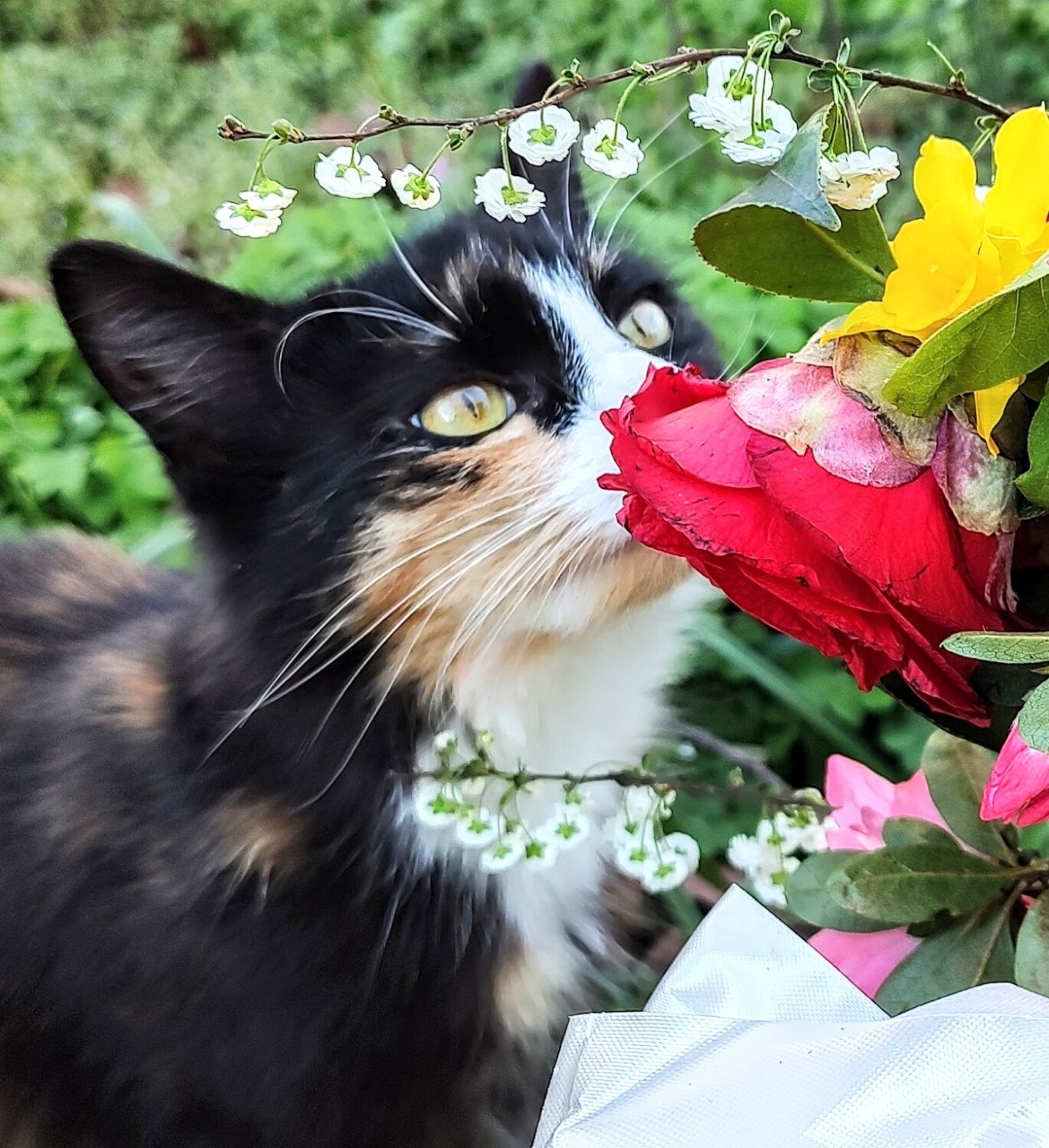 Cali says, "Don't forget to smell the roses."