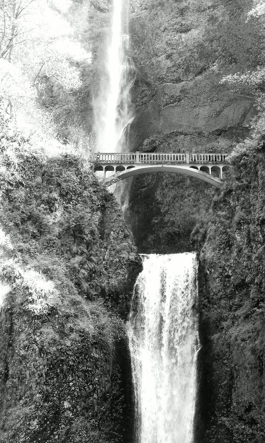 Multnomah Falls Black and White Style
